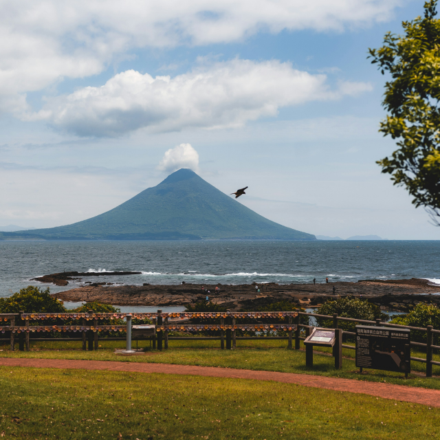 サンプルイメージ